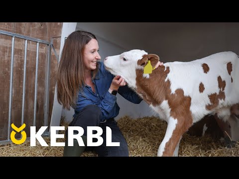 Kerbl CalfHouse Kälberiglu Premium DUO mit Umzäunung - 14618